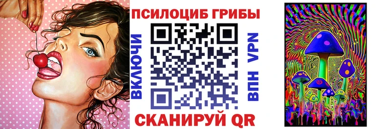 Галлюциногенные грибы Cubensis  Железногорск-Илимский 