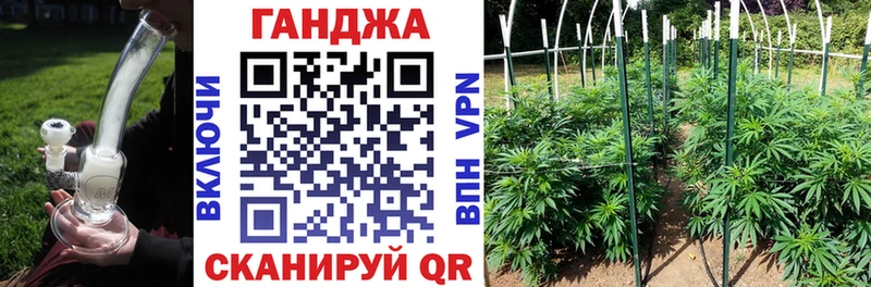 Канабис Amnesia Железногорск-Илимский